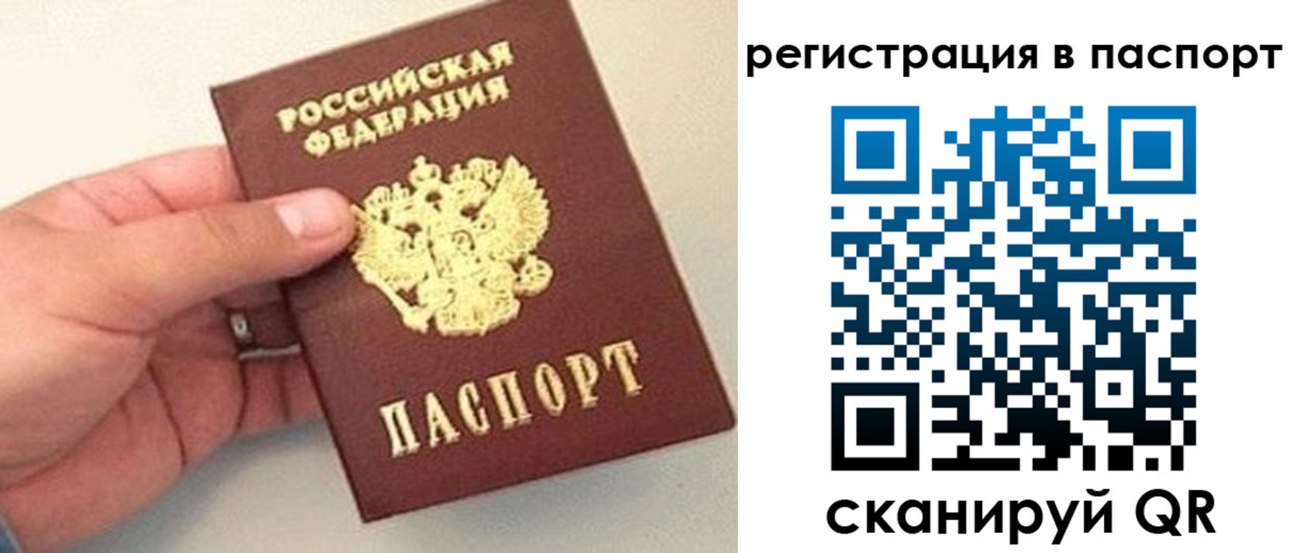 прописка законно в Кодинске